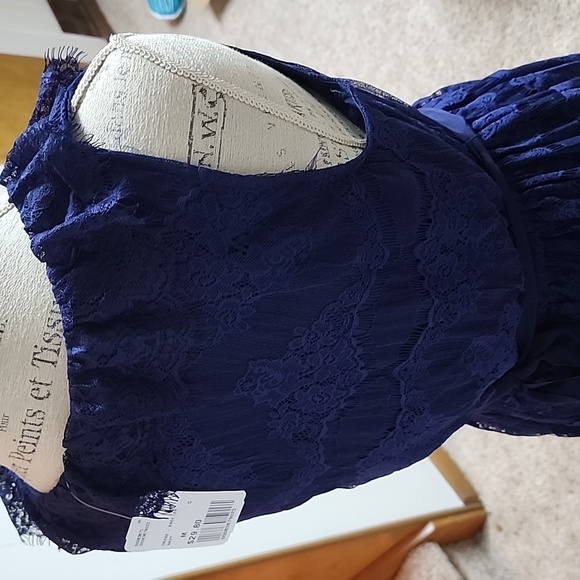 Lace Navy Dress - Picture 4 of 4